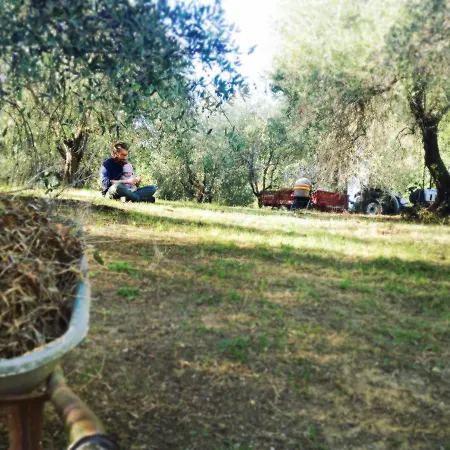 Agriturismo Colle Prana Lorenzana
