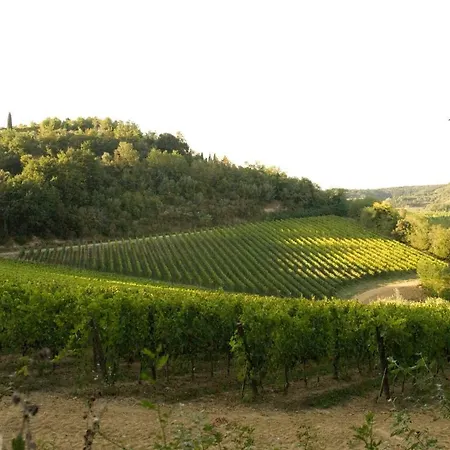 Agriturismo Colle Prana Lorenzana
