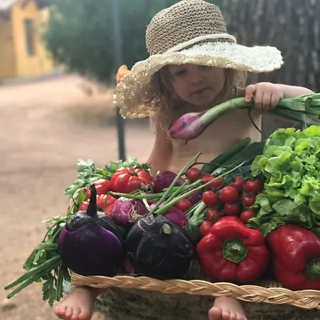 Agriturismo Colle Prana Farm stay *